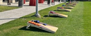 Row of wooden lounge chairs with orange and blue cushions on a green lawn beside a paved walkway and red drapery in the background.